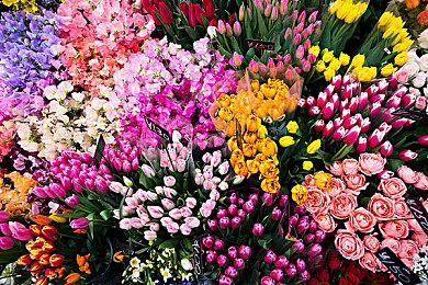 《宇宙机器人》游戏总监讨论续作：必须要有创新